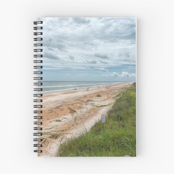 Item preview, Flagler Beach designed and sold by John Bailey.