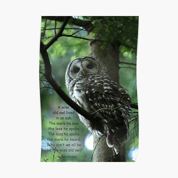 Wise Old Owl Poster