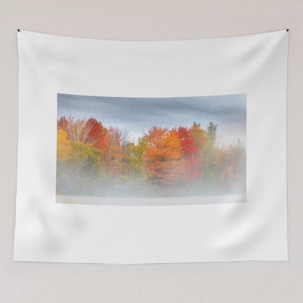Item preview, Morning Autumn Fog designed and sold by James Cumming.