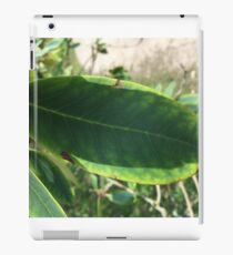 Simplistic leaf iPad Case/Skin