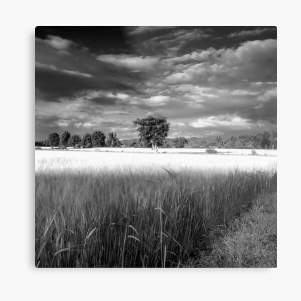Dodge Burn Tool Metal Print