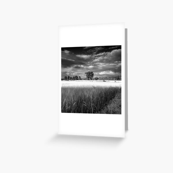 Dodge Burn Tool Greeting Card