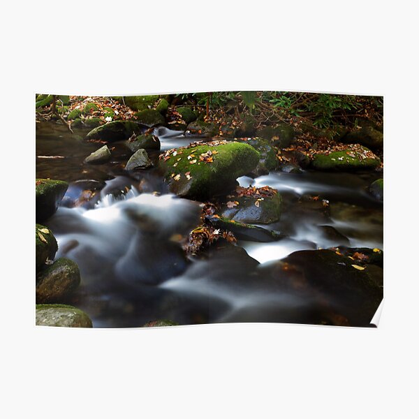 Soothing Waters Poster