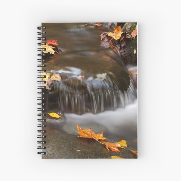 Whispers Spiral Notebook