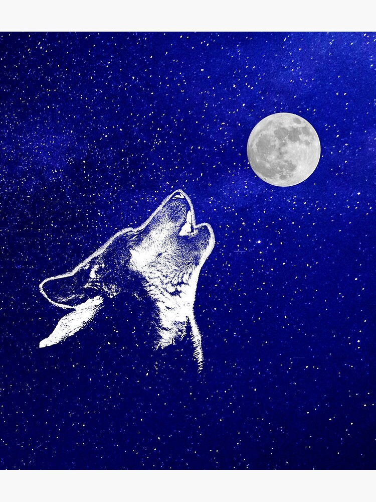 Lámina fotográfica «UN LOBO AULLANDO A LA LUNA - LOBOS Y PERROS SALVAJES»  de Danicus666 | Redbubble