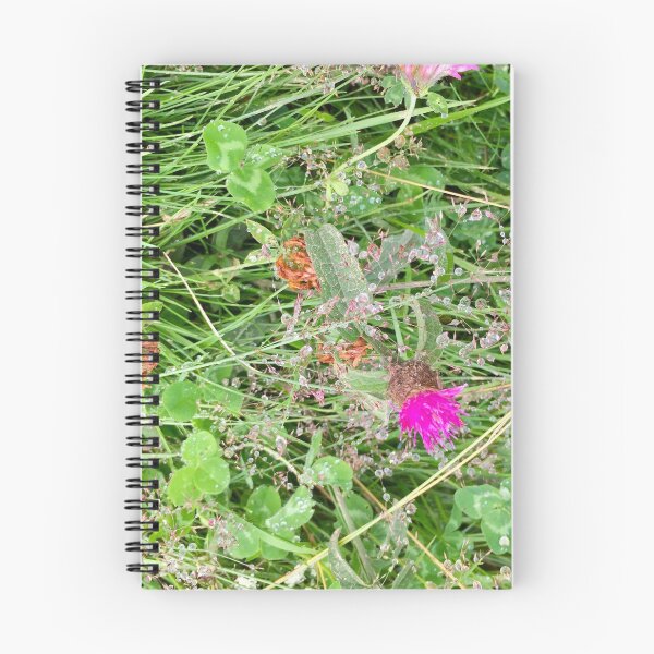 Aperçu de l'œuvre Herbes en habits de perles créée et vendue par AHELENE.