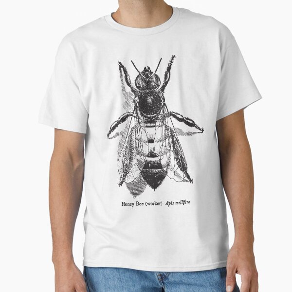 Artikel-Vorschau von Honey Bee - Vintage wissenschaftliche Illustration, designt und verkauft von coalfrog.