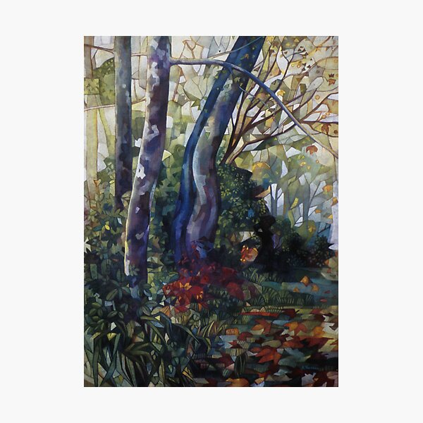 blue plane-tree Photographic Print