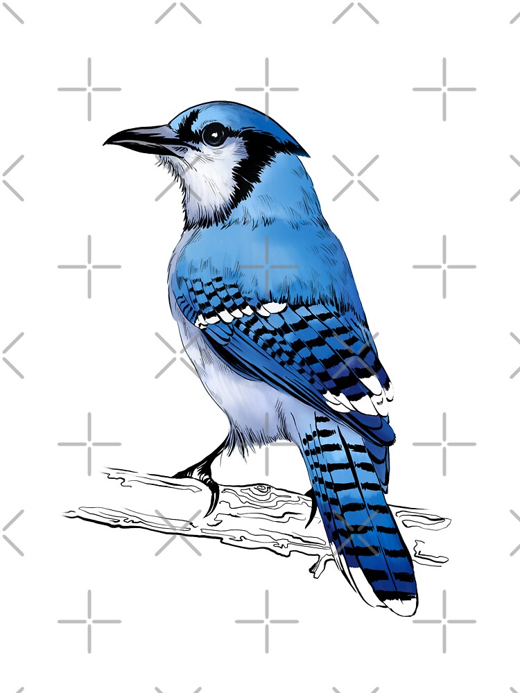 Blue Jay Bird Draw Kids T Shirt By Torysevas Redbubble