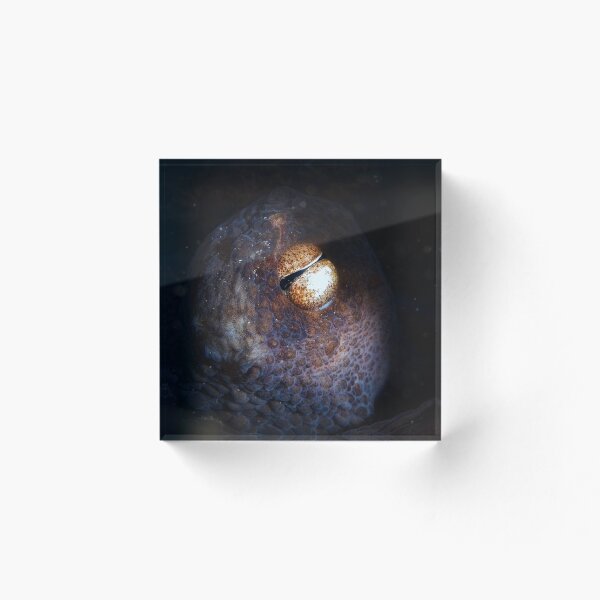 Item preview, Ojo de pulpo designed and sold by blueworld13.