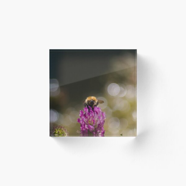 Item preview, working bee designed and sold by photography1978.