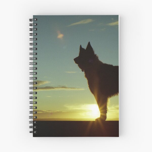 Item preview, Indy at Sunset designed and sold by Michael Haslam.