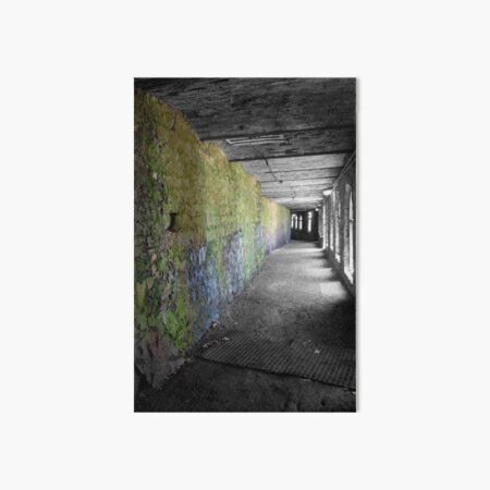 The Guiding Light Art Board Print