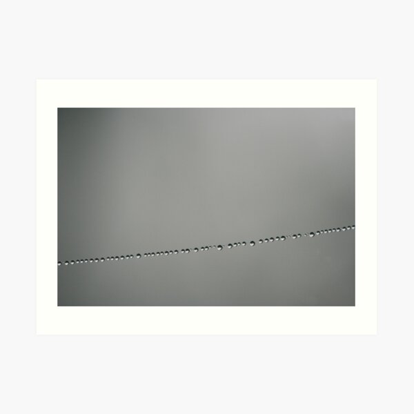 Morning Pearls Art Print