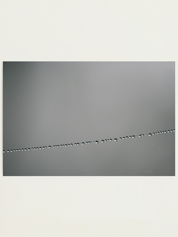 Alternate view of Morning Pearls Photographic Print