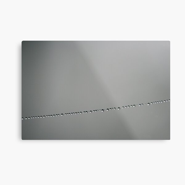 Morning Pearls Metal Print