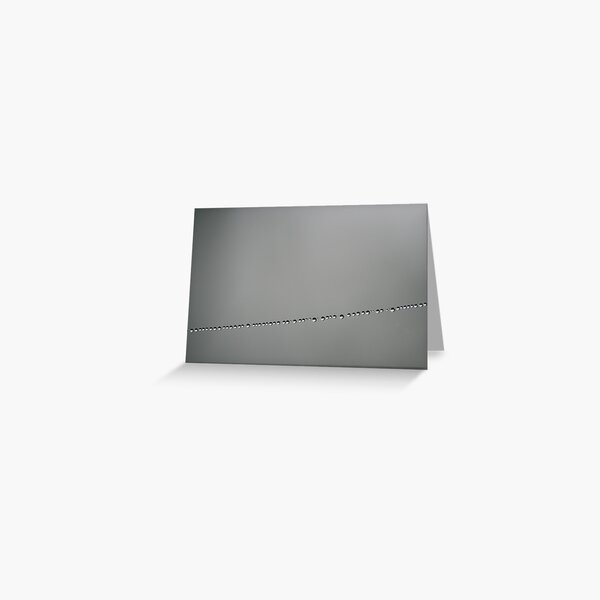 Morning Pearls Greeting Card
