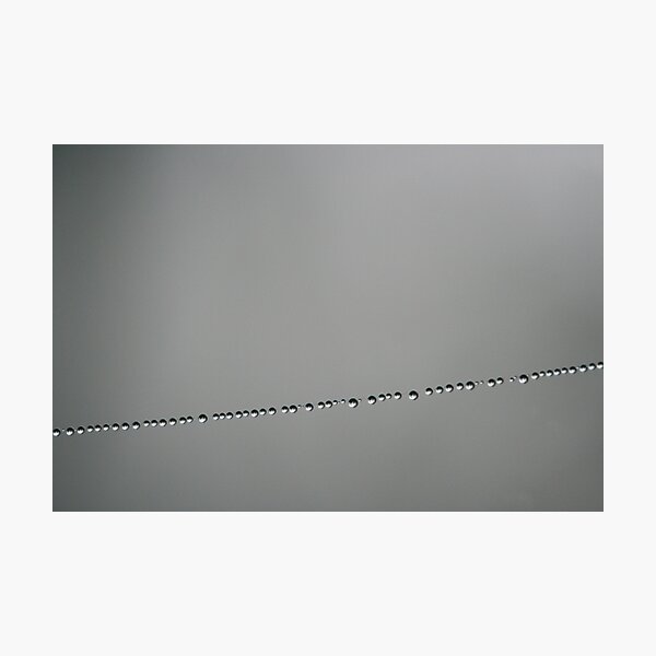 Morning Pearls Photographic Print