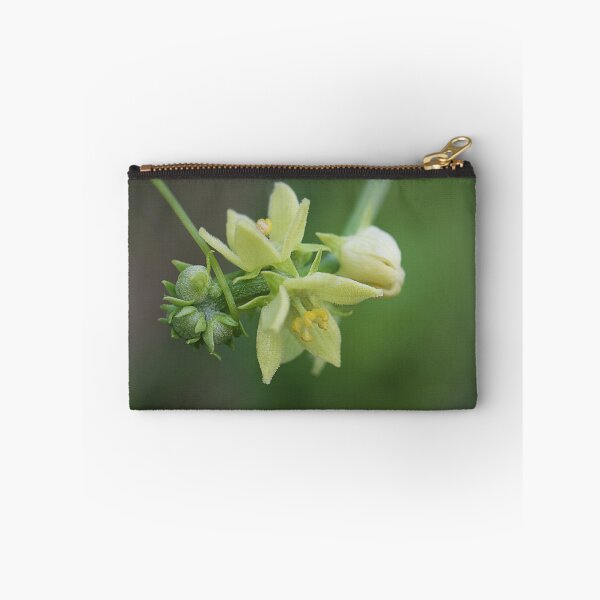 Item preview, Buds and blooms designed and sold by Paul Pasco.