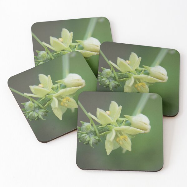 Item preview, Buds and blooms designed and sold by Paul Pasco.