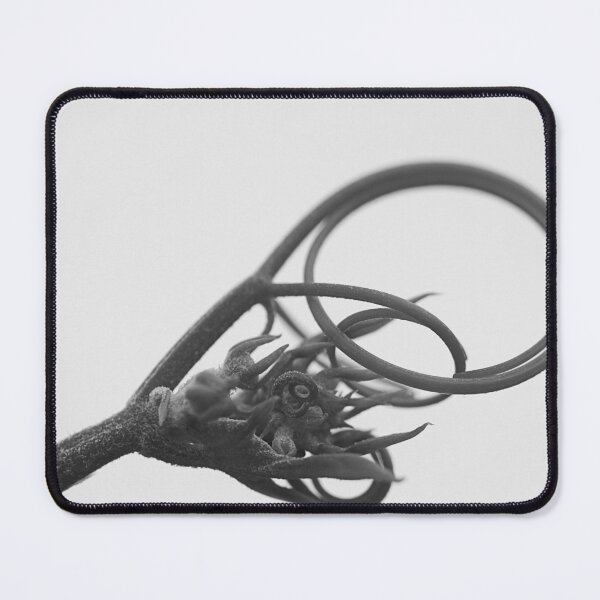 Item preview, In the loop designed and sold by Paul Pasco.