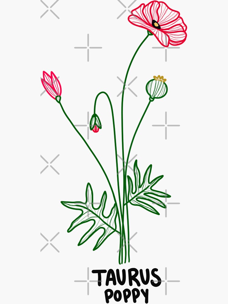 "Zodiac flowers Taurus poppy" Sticker for Sale by Hazyhorizons Redbubble