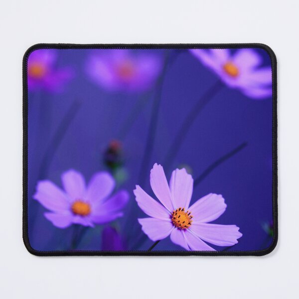 Item preview, Cosmos flowers on blue background designed and sold by olena2552.
