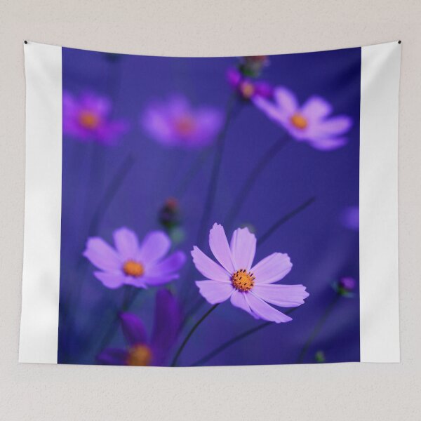 Item preview, Cosmos flowers on blue background designed and sold by olena2552.