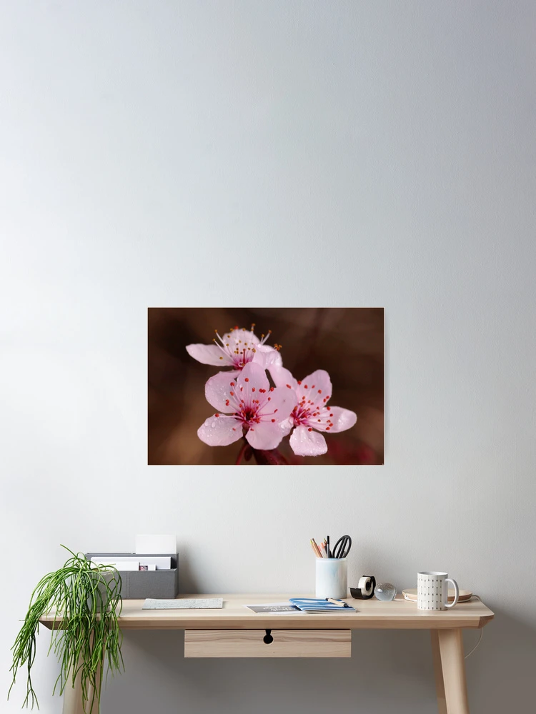 Thumbnail 2 of 3, Poster, Early Spring designed and sold by Alison Howson.