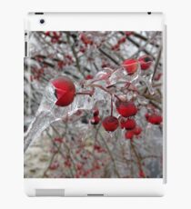 Frozen iPad Case/Skin