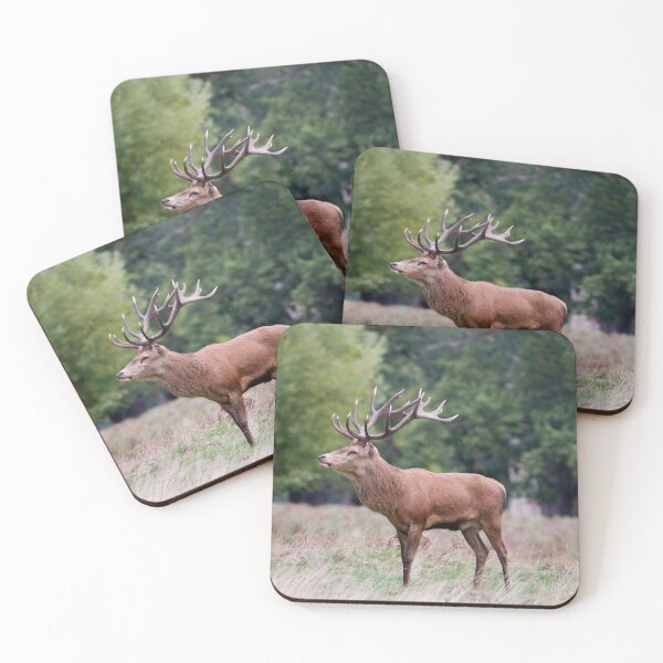 Item preview, Deer designed and sold by photobytableau.
