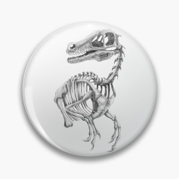 Item preview, Raptor Skeleton designed and sold by TimeSkiff.
