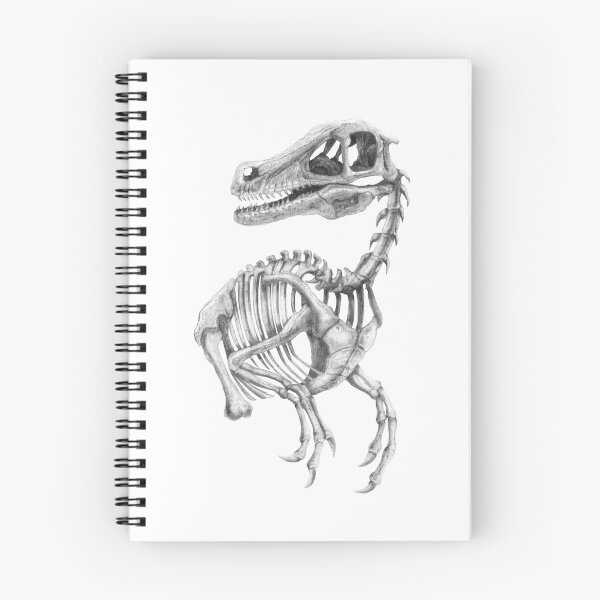Item preview, Raptor Skeleton designed and sold by TimeSkiff.