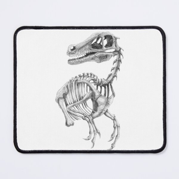 Item preview, Raptor Skeleton designed and sold by TimeSkiff.