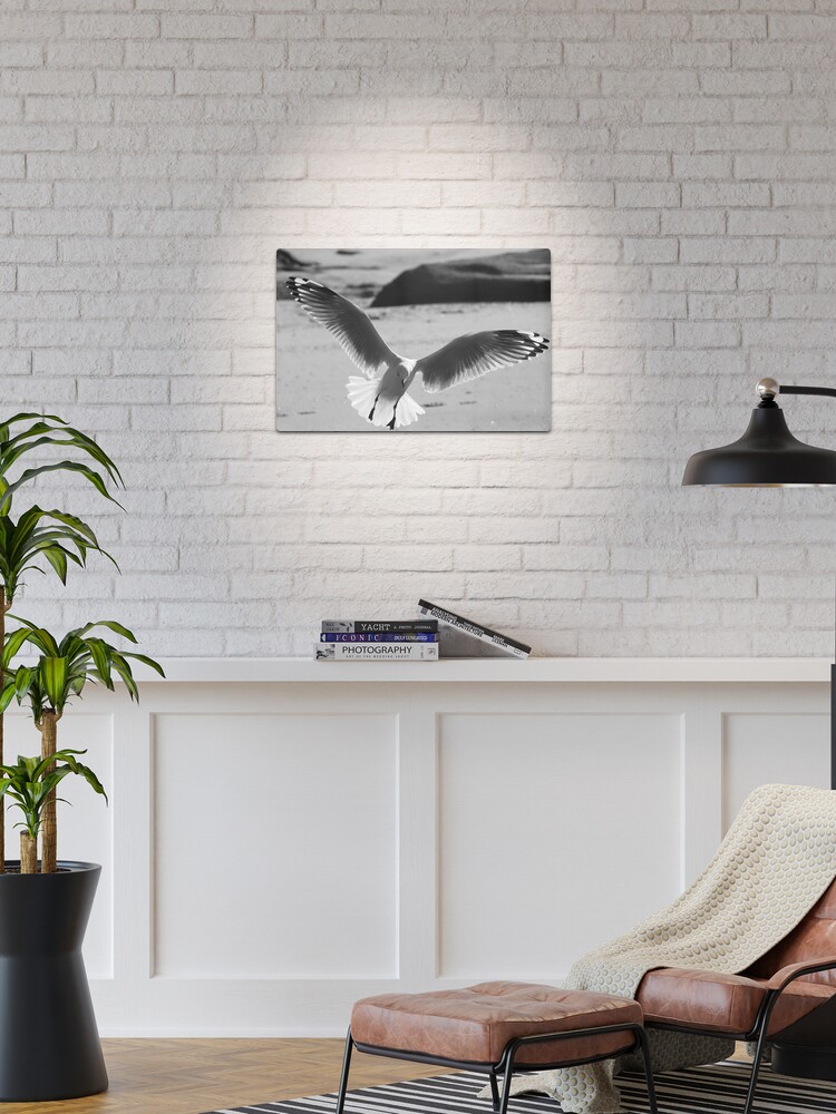 Thumbnail 1 of 4, Metal Print, Seagull landing designed and sold by theoddshot.