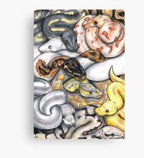 Pile O' Pythons Canvas Print