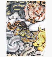 Pile O' Pythons Poster