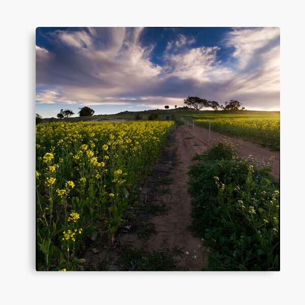 Item preview, The Path designed and sold by John Pitman.