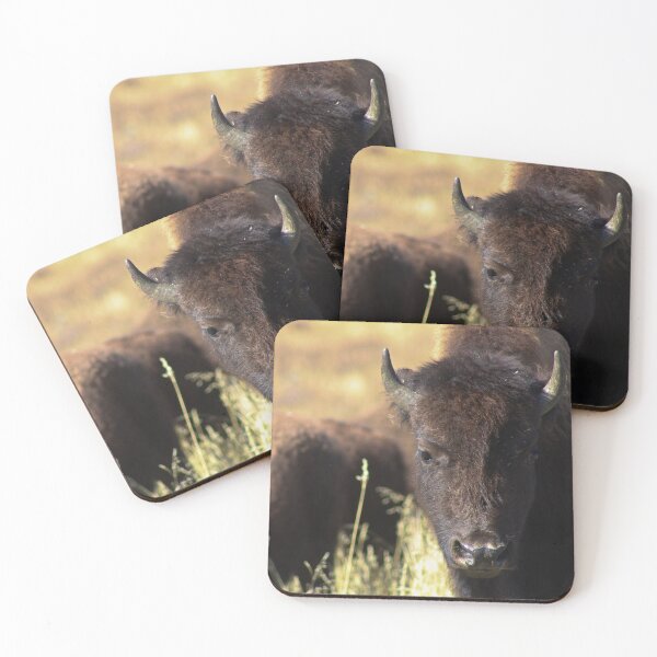 Item preview, Buffalo designed and sold by AnnahDetwiler.