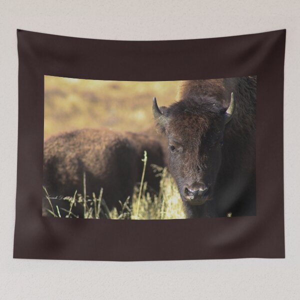 Item preview, Buffalo designed and sold by AnnahDetwiler.