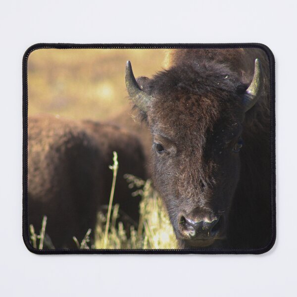 Item preview, Buffalo designed and sold by AnnahDetwiler.