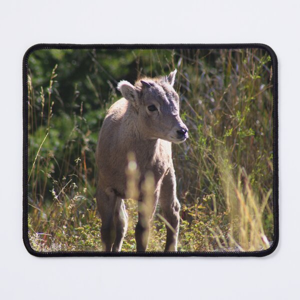 Item preview, Bighorn Sheep designed and sold by AnnahDetwiler.