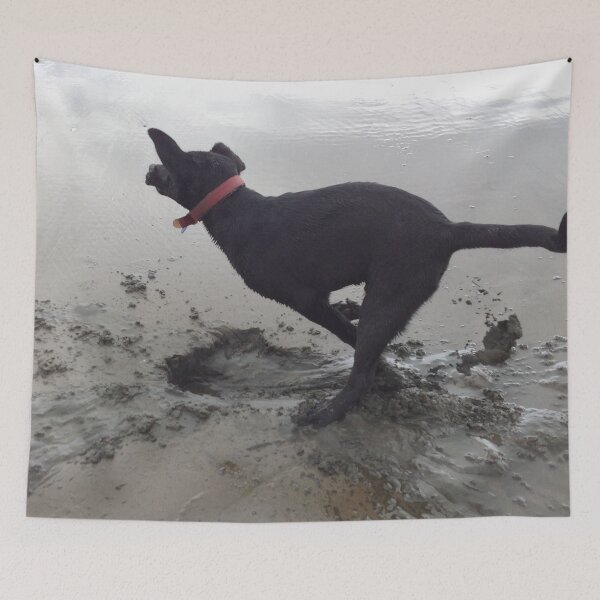 Item preview, Dogs Day at the Beach designed and sold by lizdomett.