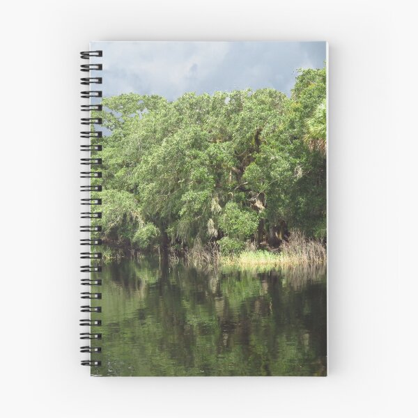Item preview, Myakka Scenic Reflections designed and sold by Rosalie Scanlon.