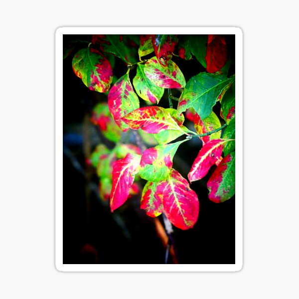 Item preview, Autumn is a second spring when every leaf is a flower. designed and sold by angel1.