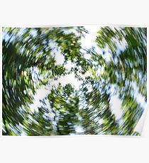 Trees Poster