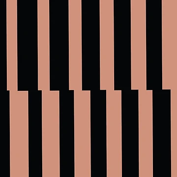 Imagen de la obra Muted Coral Black Abstract Stripe Vertical Pattern Pairs BHG 2023 Color of the Year Canyon Ridge de ColorOfTheYears