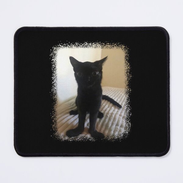 Item preview, Big Foot Jin.x Black Cat 02 designed and sold by dapascollars.