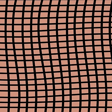 Imagen de la obra Muted Coral Black Wavy Grid Pattern Pairs BHG 2023 Color of the Year Canyon Ridge de ColorOfTheYears