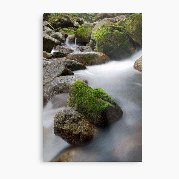 Mossman Gorge Metal Print